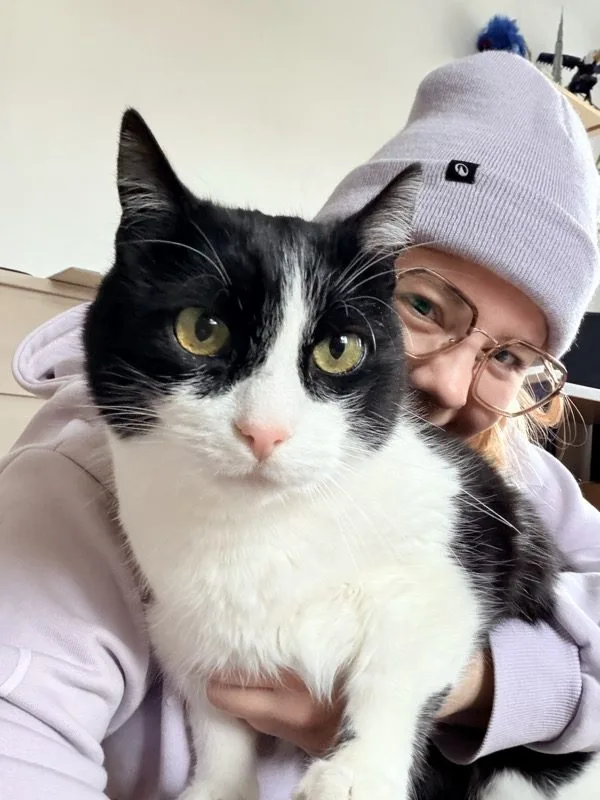 Ein Tag als Katzensitterin – und warum er selten so läuft, wie man denkt