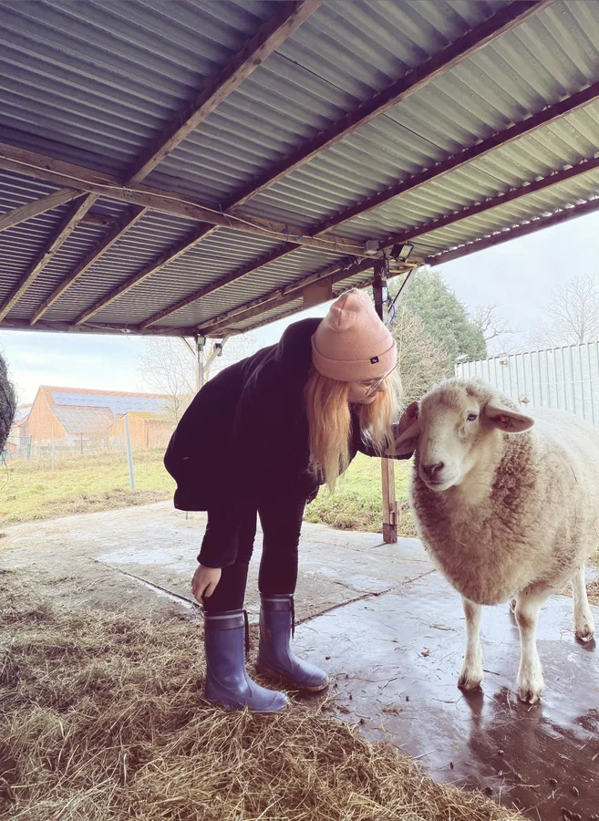 Diana beugt sich zu einem Schaf