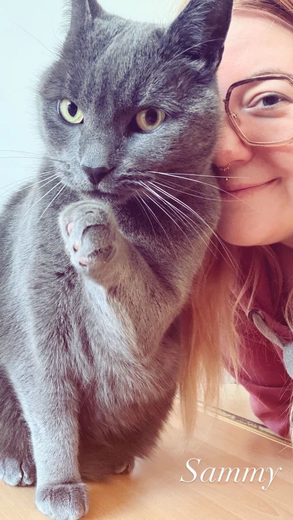 Graue Katze Sammy mit erhobener Pfote neben Diana