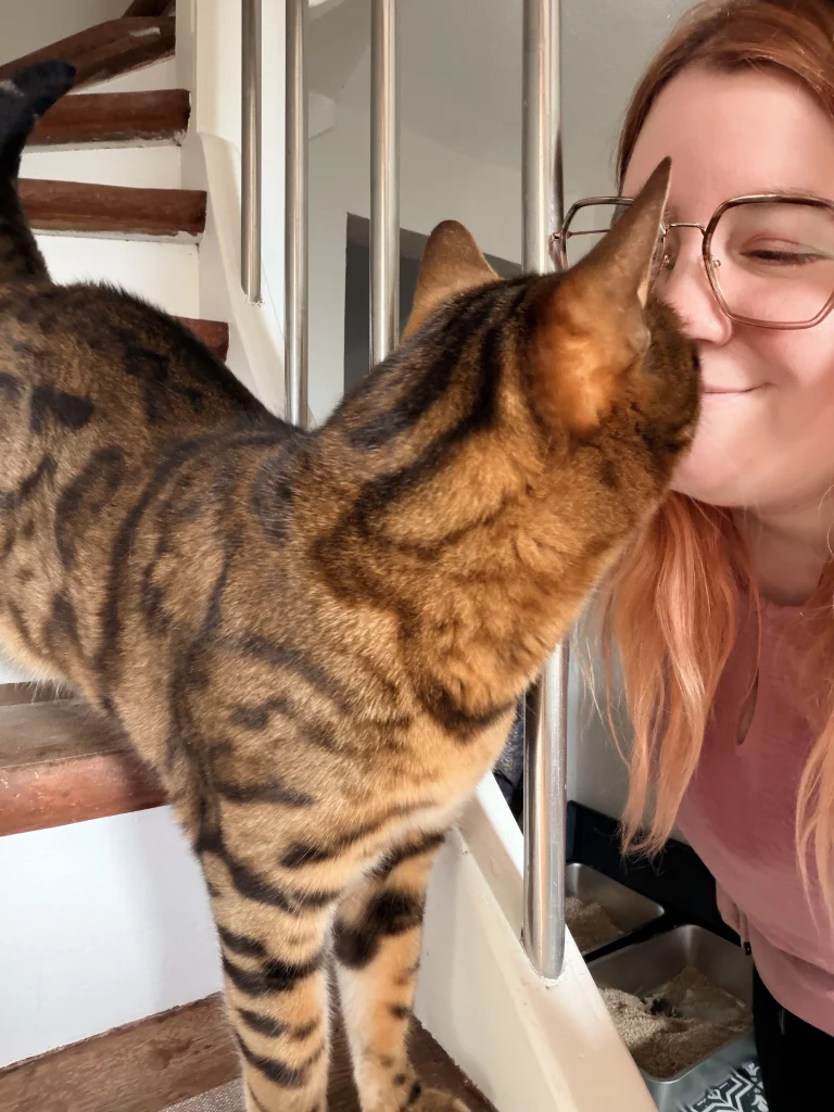 Bengalkatze schmiegt sich an Katzensitterin Diana