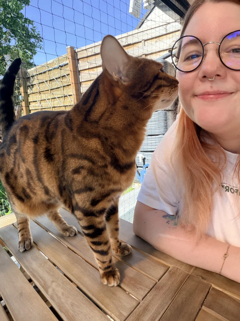 Bengalkatze auf dem Terrassentisch, daneben Diana – Katzensitting Kassel